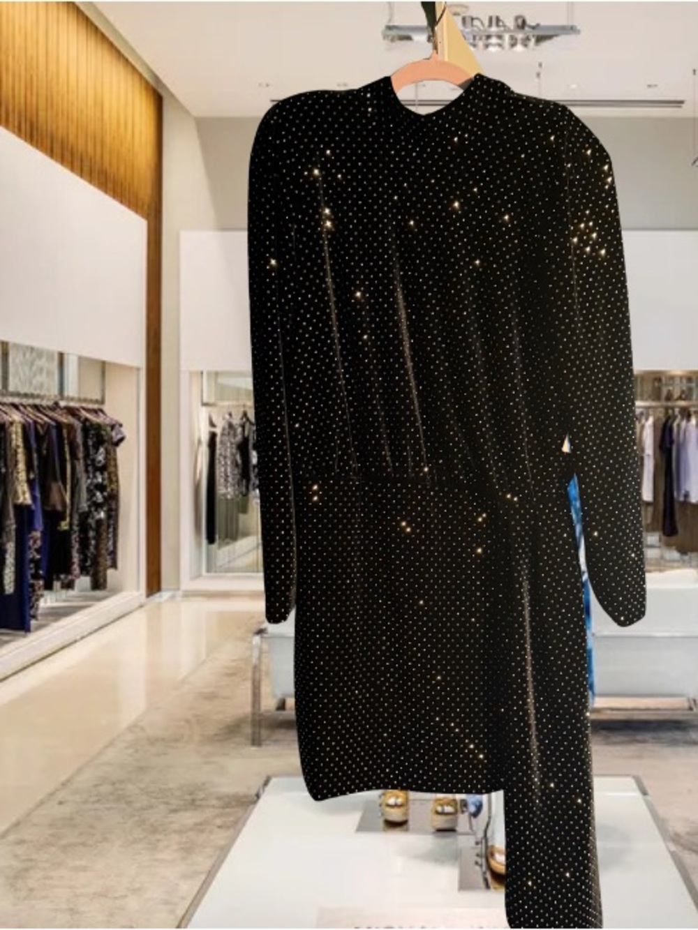 NADINE MERABI Luna Long-Sleeve Dress with mock neck. Never Worn